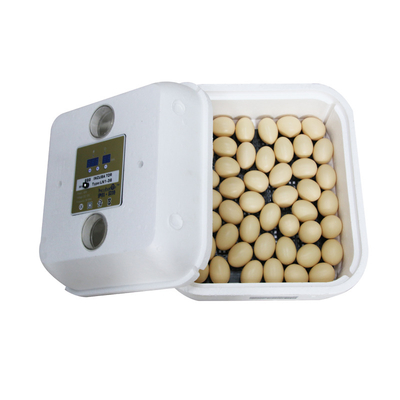 Multifunction&amp;amp; 12v Automatic Chicken Incubator Solar Chicken 36 Egg Incubator