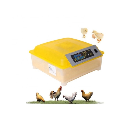 High Quality Fully Automatic Egg Hatching Set Hatch Used Incubadorascub De Huev Full Automatic Polling Incubadorascub De Huev
