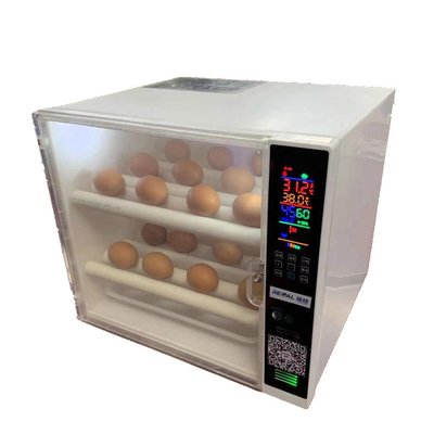 Fully Automatic Small Ostrich Farms Mini Turkey Goose 48 Egg Incubator For Sale