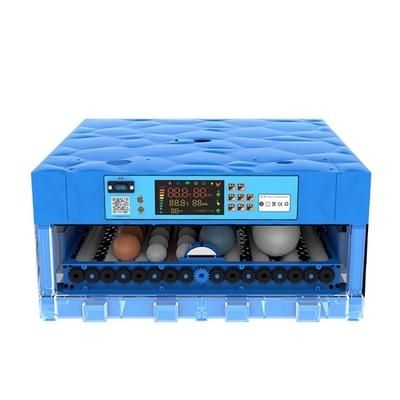 Microcomputer Control Authentic Guaranteed Hot Sale Poultry Egg Incubators Fully Automatic Chicken Egg Incubator