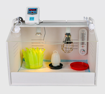 Weiqian Farms Egg Incubator Ferramentas Chicken Cage Full Automatic Heating Box Quail Turtle Hedgehog Cooler Brooder